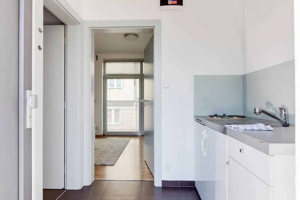 Jt'S Apartments Fricova Str. Prague